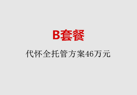 哈尔滨B套餐：代怀全托管方案46万元